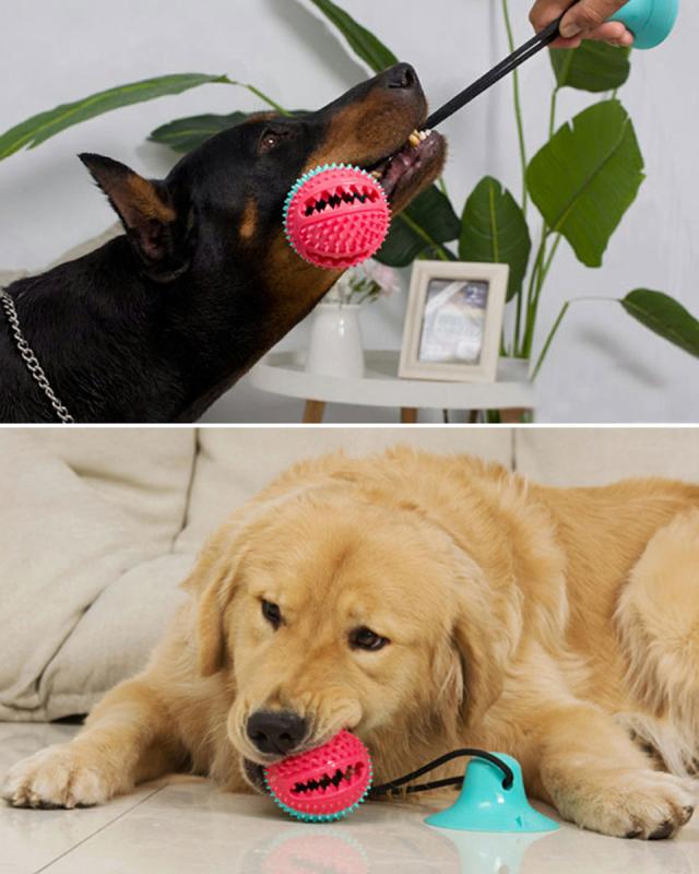 犬 おもちゃ ボール 