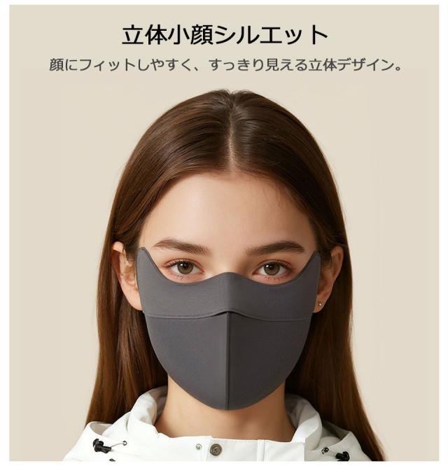 マスク 洗える 布 抗菌 立体 大人