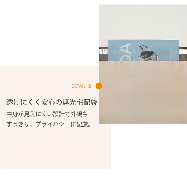 宅配ビニール袋 A4 100枚 幅25cm×高さ35cm+フタ4cm(A4サイズ) 梱包袋 宅配袋 配送用ビニール袋 発送用袋