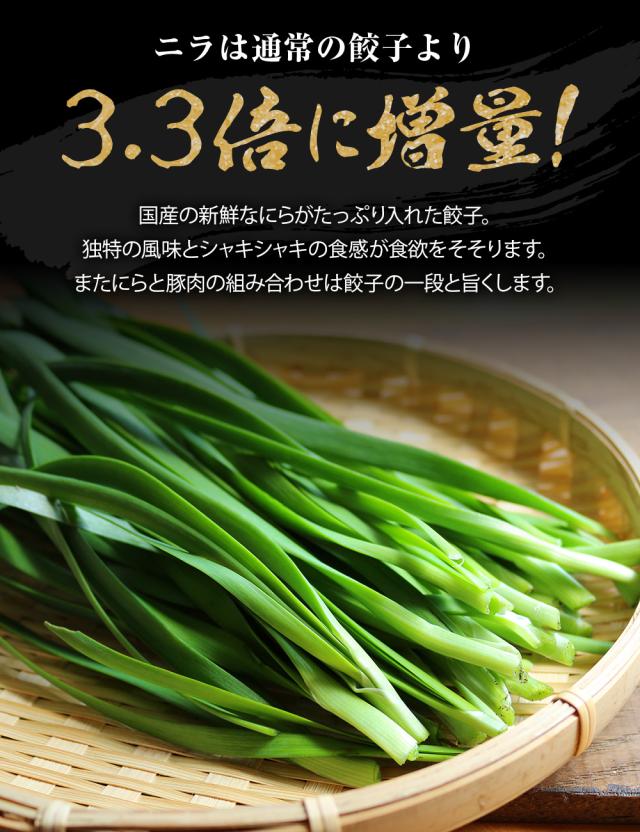 ニラは通常の餃子より3.3倍に増量。