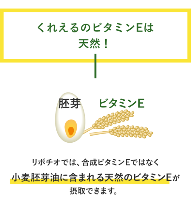 ミネラル ビタミン サプリ 栄養 ビタミンc 持続型