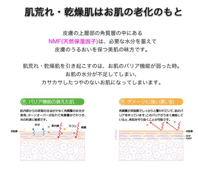 シルバーアンメラン 美白 高保湿 化粧水 医薬部外品