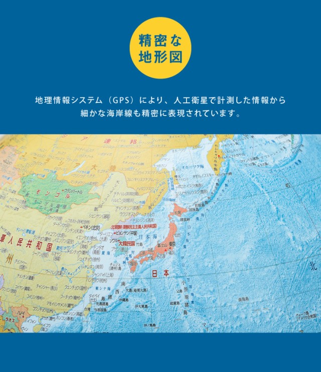 レイメイ藤井 リビング地球儀25cm 全回転 行政タイプ OYV256 地球儀