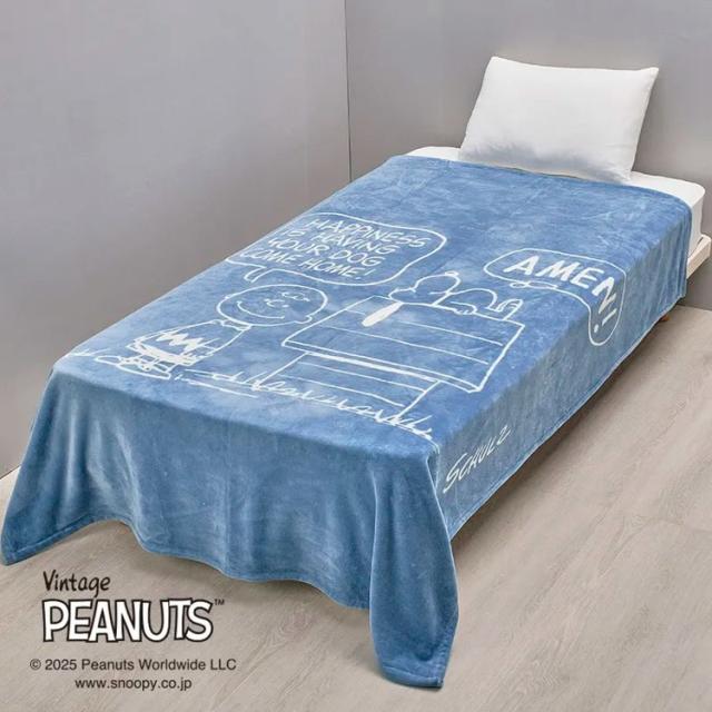 【新品未使用】スヌーピー HEATTECH毛布 190×180cm 電気敷毛布（ロング） NA-08SL-BE 電気毛布 日本製 国産 毛布