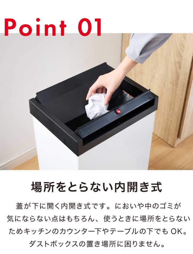 Hailo ハイロ ゴミ箱 ごみ箱 ダストボックス ニュービッグ