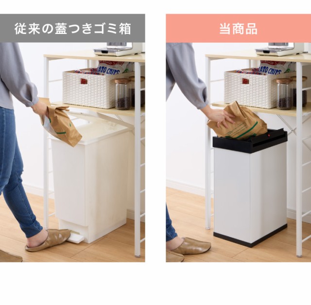 Hailo ハイロ ゴミ箱 ごみ箱 ダストボックス ニュービッグ