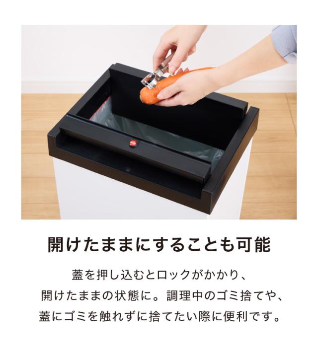 Hailo ハイロ ゴミ箱 ごみ箱 ダストボックス ニュービッグ