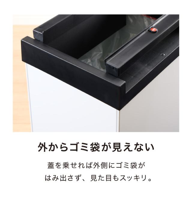 Hailo ハイロ ゴミ箱 ごみ箱 ダストボックス ニュービッグボックス40L