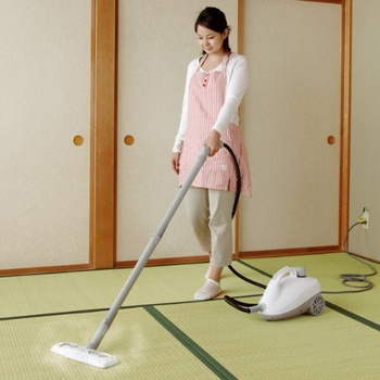 再入荷格安 アイリスオーヤマ STM-410E(代引き不可)の通販はau PAY マーケット - リコメン堂|商品ロットナンバー:249823944 スチームクリーナーキャニスタータイプ STM-410E スチームクリーナー ホワイト 在庫あ即納
