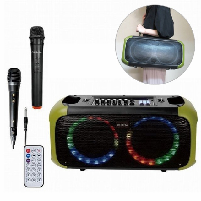 スピーカー 大型 イベント フレイムLEDパーティースピーカーCTEY スピーカー 大型 イベント フレイムLEDパーティースピーカーCTEY