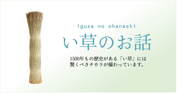 安い日本製 純国産 江戸間6畳(約261×352cm)(裏:ウレタン)(代引き不可)の通販はau PAY マーケット - リコメン堂|商品ロットナンバー:249836721 い草花ござ 『F)FUBUKI』 グリーン 得価NEW