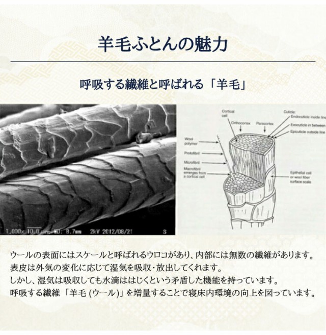 人気大得価 丸八真綿 敷ふとん 至福の眠り 日本製 ホテル仕様 4層 羊毛 敷布団 シングル ダブルヘム ボリュームたっぷり ホテル 極厚(代引不可)【送 の通販はau PAY マーケット - リコメン堂インテリア館 人気セール