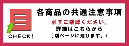 共通注意詳細