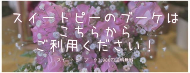 フリージア 花束 卒業式 生花 かすみ草 送料無料 切り花 卒業 式 花