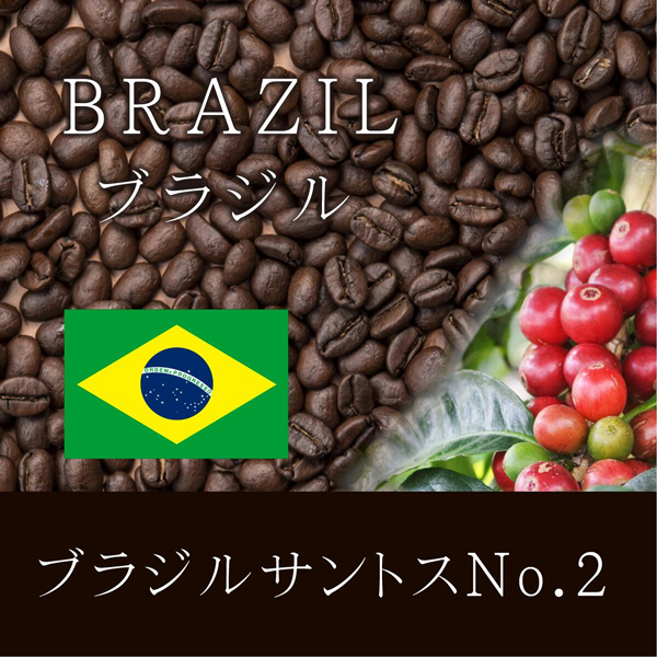 ブラジル サントス No.2