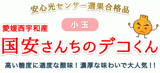 愛媛西宇和産贈答用デコくん