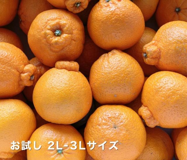 お試しデコくんイメージ