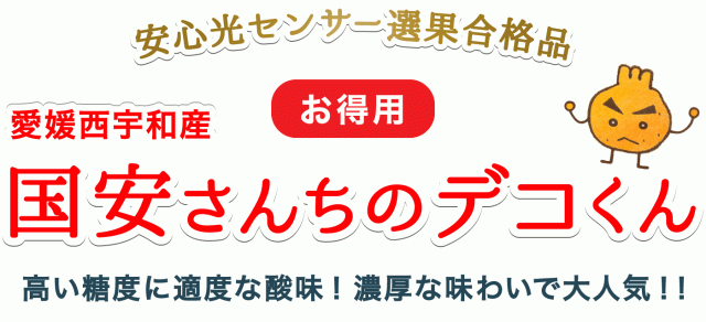 愛媛西宇和産お試しデコくん