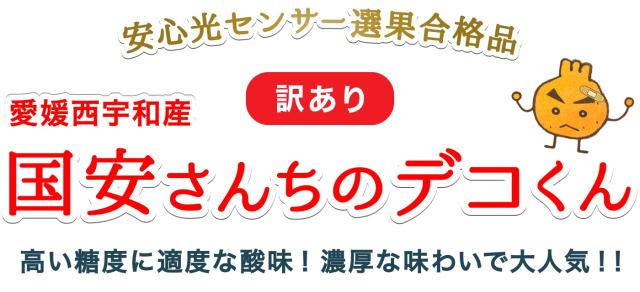 愛媛西宇和産訳ありデコくん