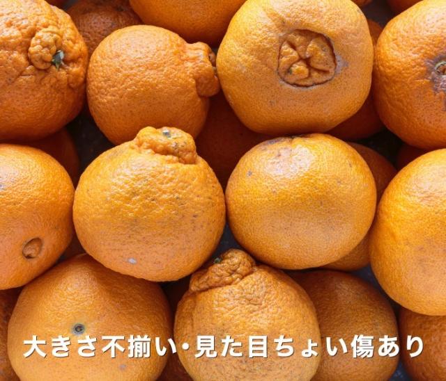 訳ありデコくんイメージ