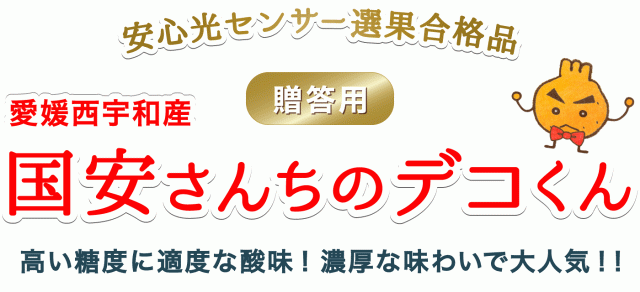 愛媛西宇和産贈答用デコくん