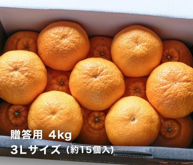 贈答デコくん4kgイメージ