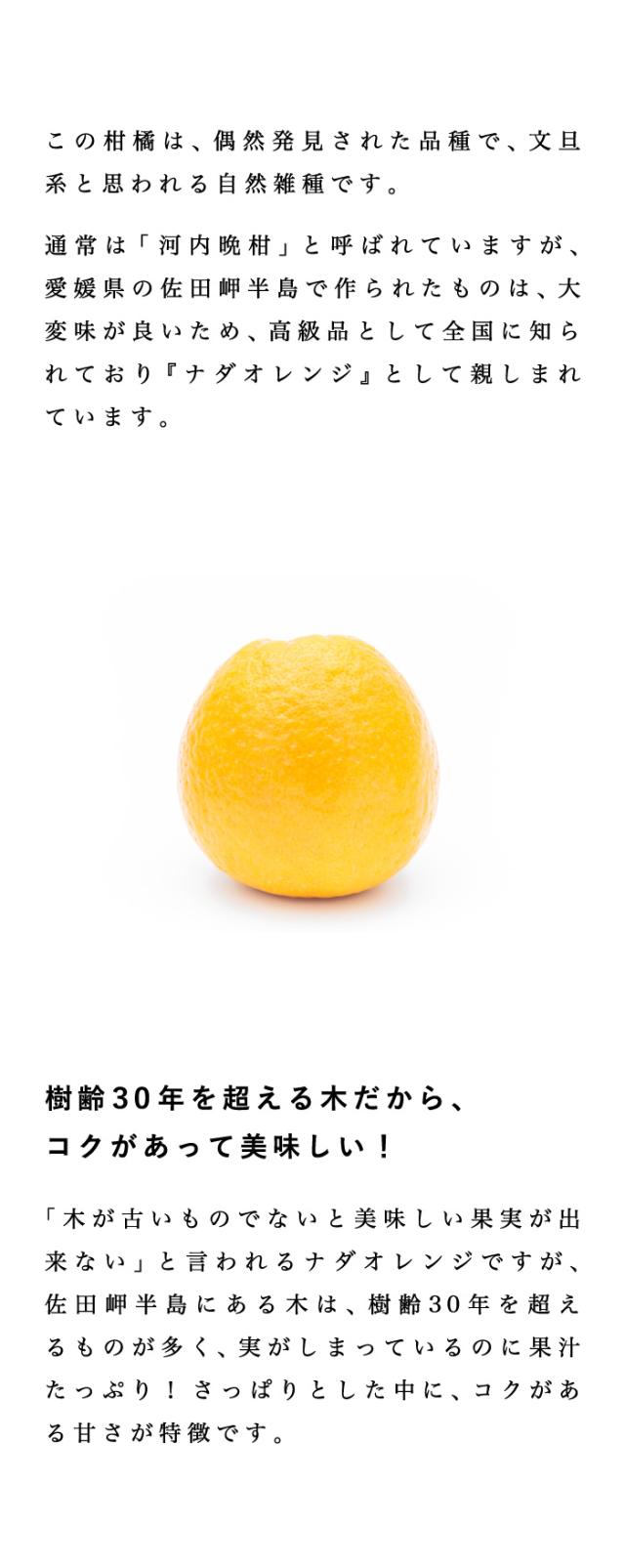 最上級ナダオレンジ説明