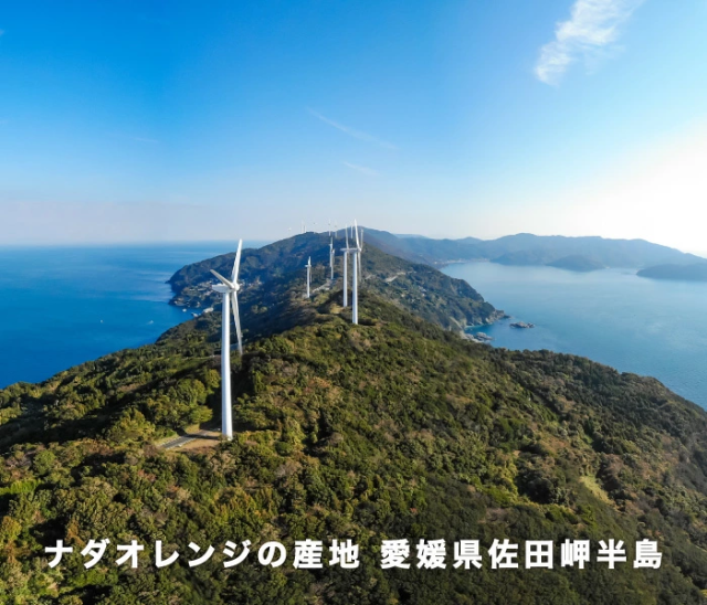 佐田岬半島
