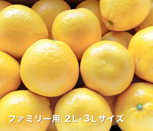 ファミリー最上級ナダオレンジ