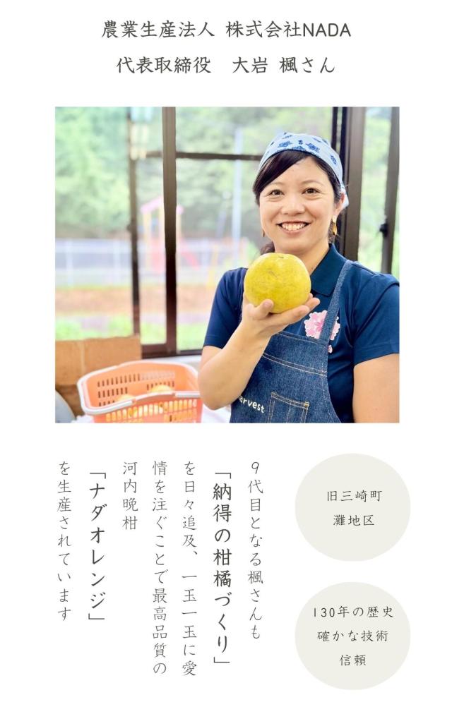 大岩1