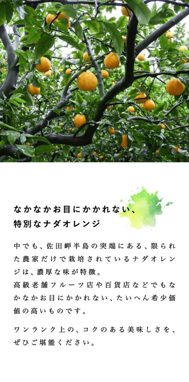 最上級ナダオレンジ画像