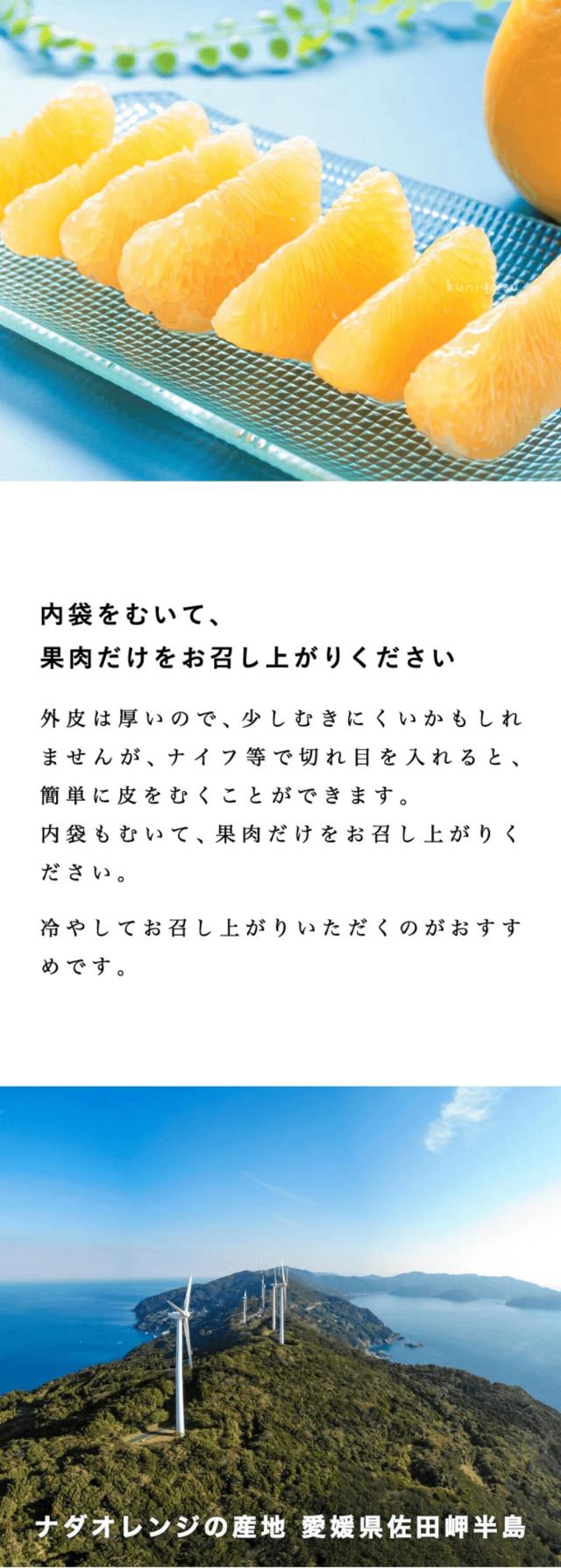 最上級ナダオレンジ説明