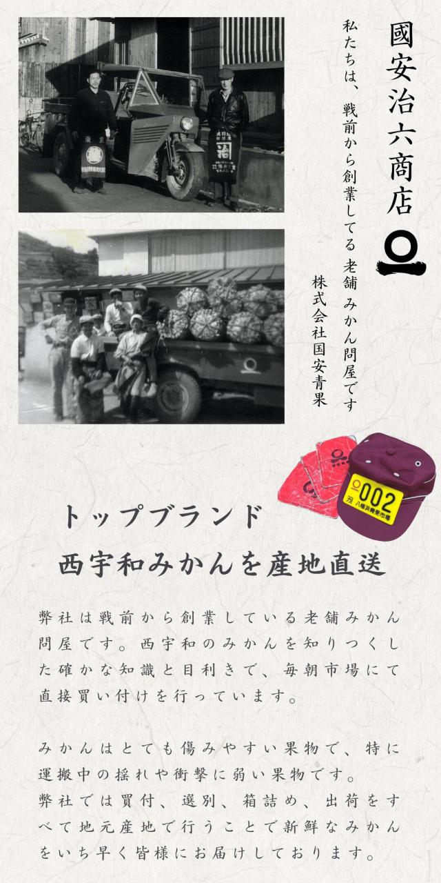 トップブランド
