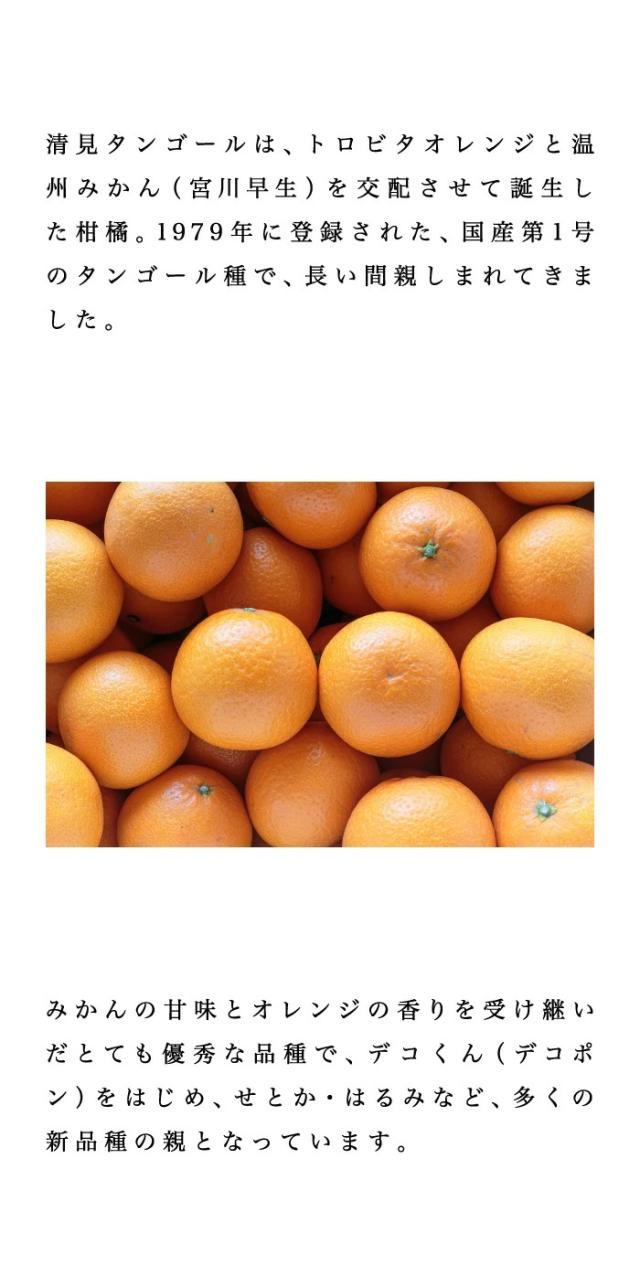 説明