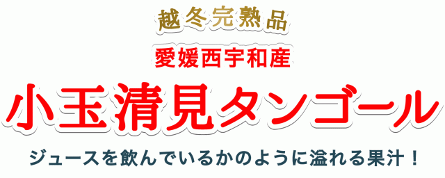 小玉清見