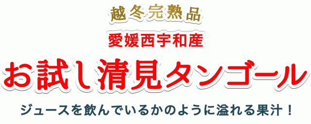 お試し清見