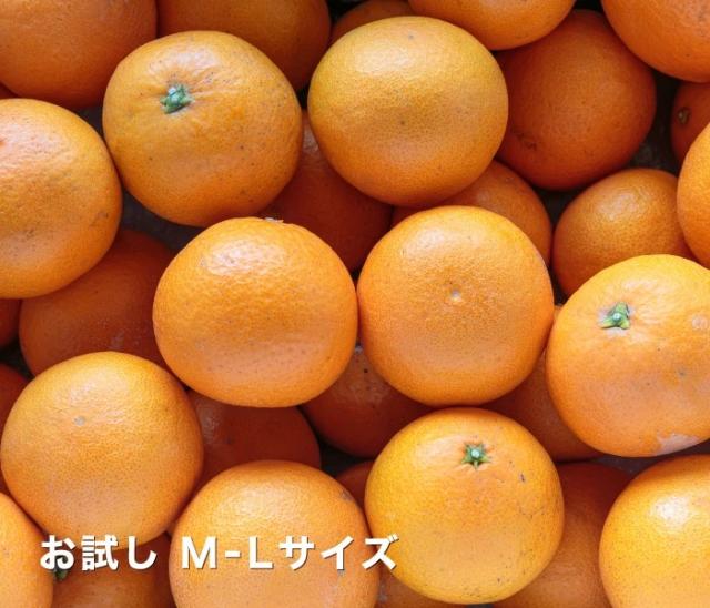 お得イメージ