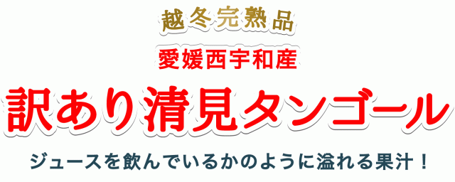 訳あり清見