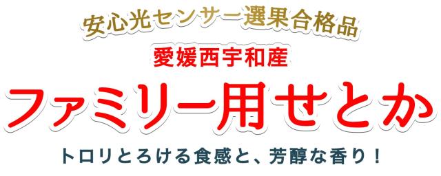 ファミリー用愛媛せとか