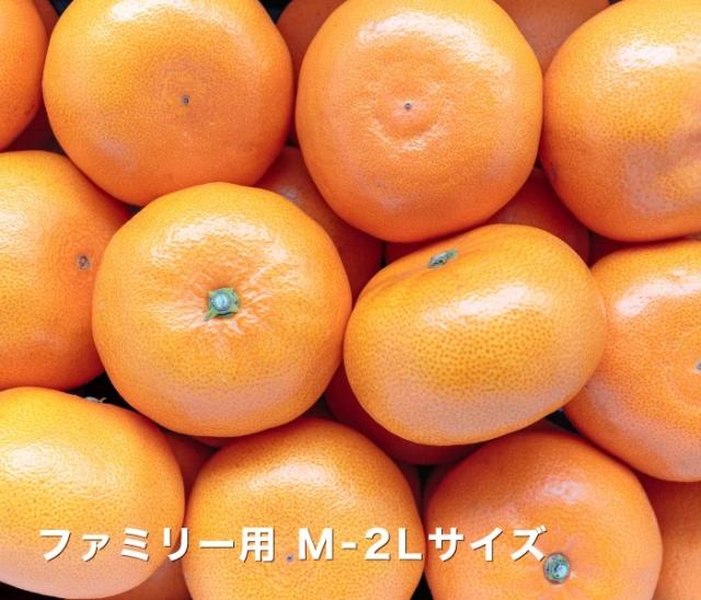 ファミリー用せとかイメージ