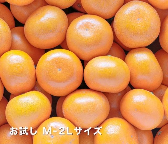 お試し用せとかイメージ