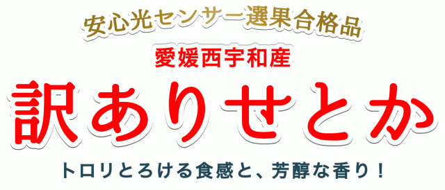 訳あり愛媛せとか