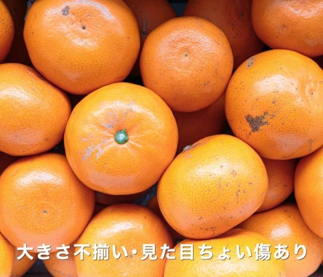 訳ありせとかイメージ