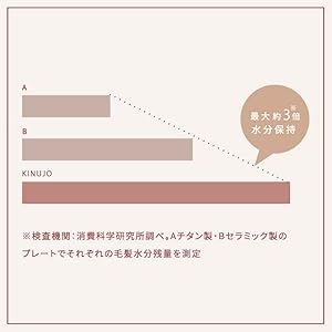 KINUJO W -worldwide model- キヌージョ ワールド ストレートヘアアイロン 2way ミニ シルクプレート 最高220℃ 海外兼用 DS200 正規販売店