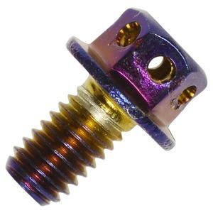 ドレスアップボルトM6バイク用ステンレス製チタンカラーフランジ付きエンジンボルト