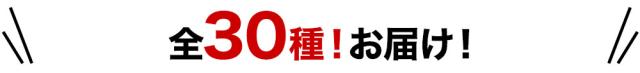 お届けメニューはこちら