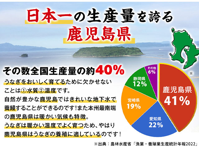鹿児島県産お徳用カットうなぎ