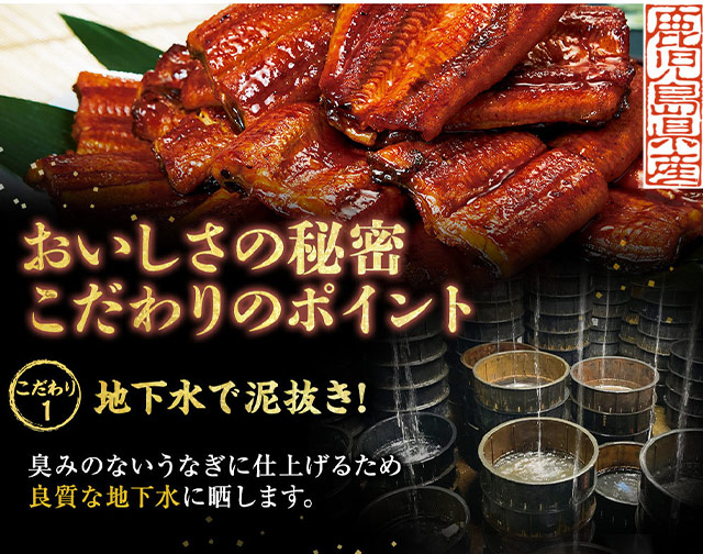 鹿児島県産お徳用カットうなぎ