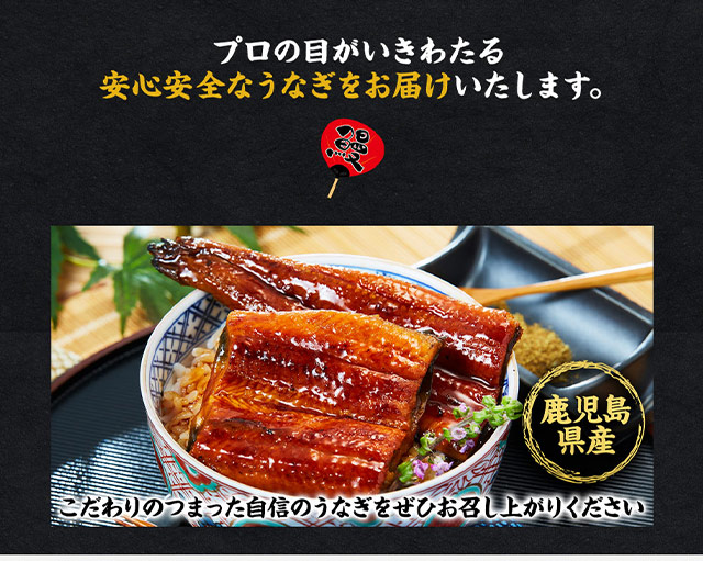 鹿児島県産お徳用カットうなぎ
