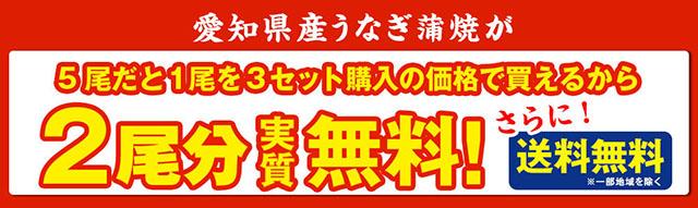 愛知県三河産うなぎ蒲焼　１２０ｇ・１８０ｇ